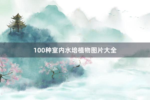 100种室内水培植物图片大全