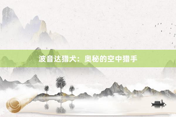 波音达猎犬：奥秘的空中猎手