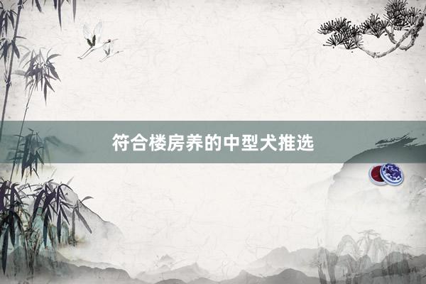 符合楼房养的中型犬推选